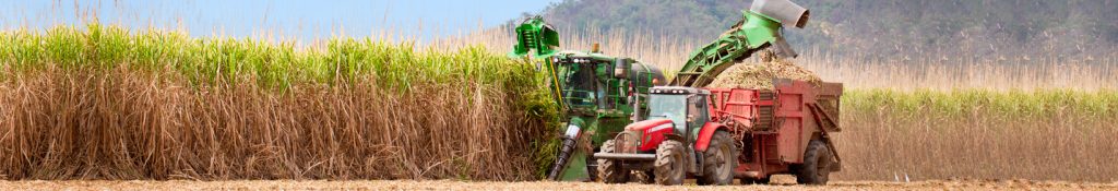 Agribusiness header
