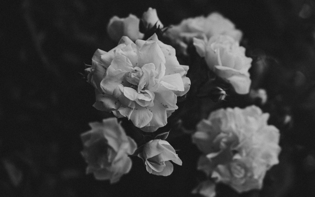 How does domestic violence impact parenting arrangements?