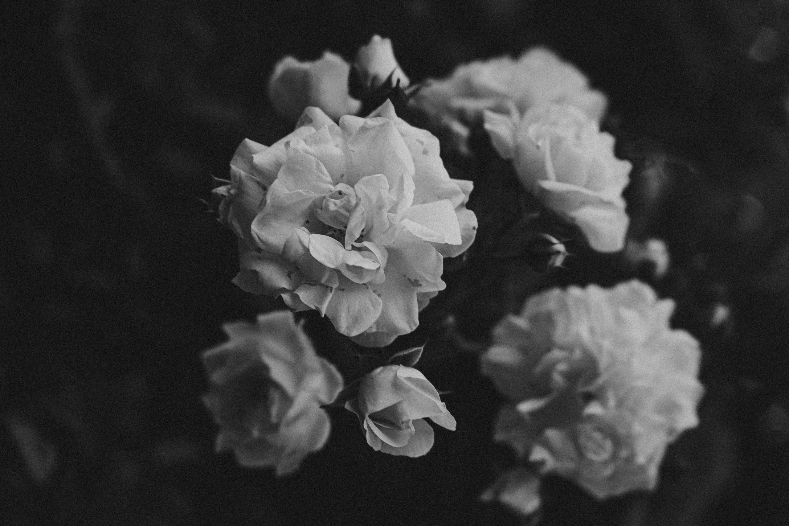 pexels-ave-calvar-martinez-4334081-scaled