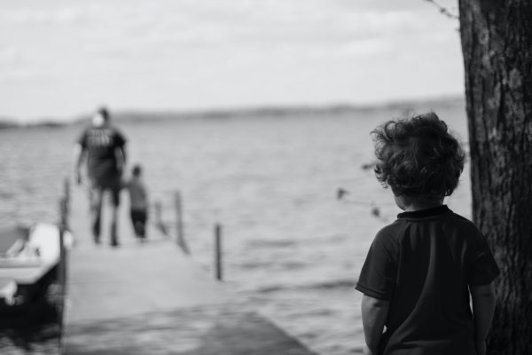 Domestic Violence and Parenting: Legal Insights