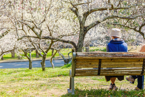Planning Ahead for Care Decisions