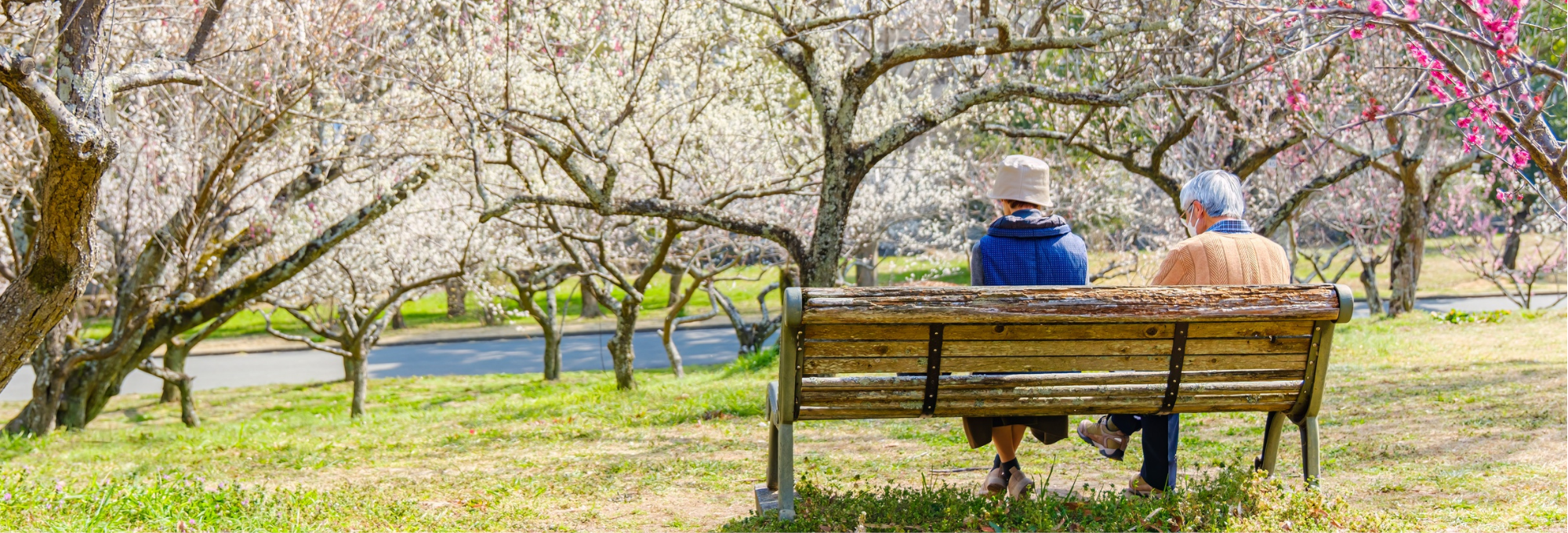 Planning for care decisions (banner)
